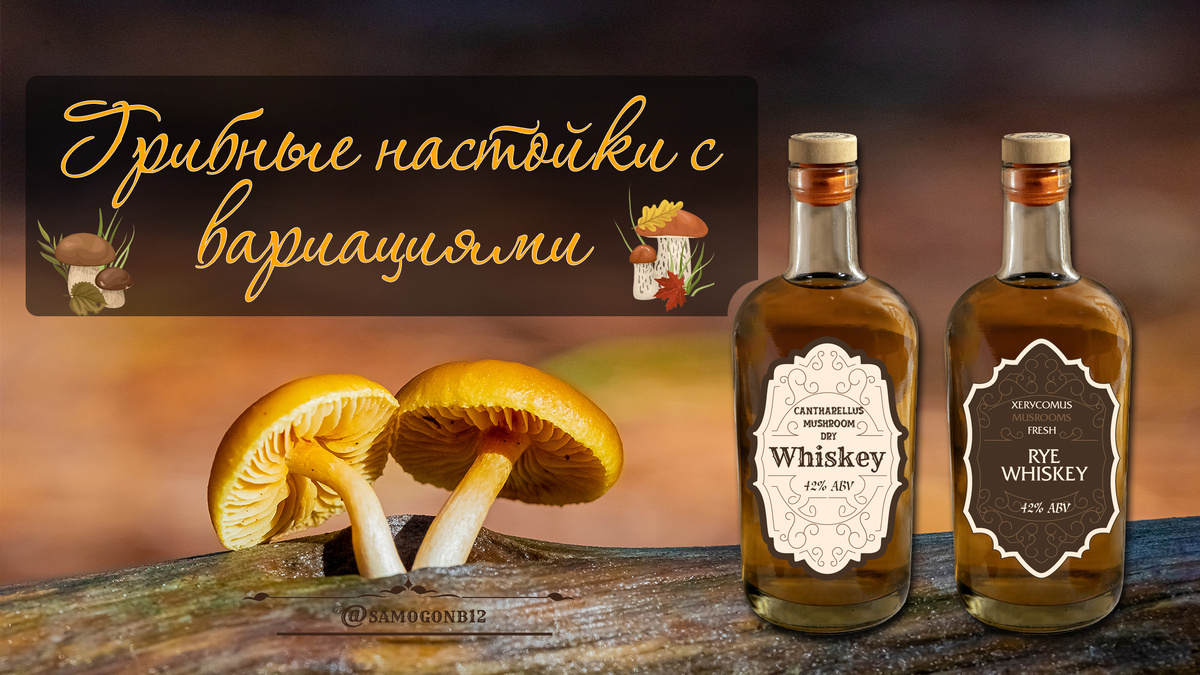 Грибные настойки с вариациями. Коллаж автора ©