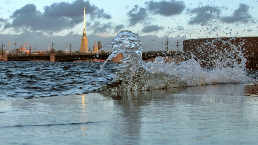    Фото: © РИА Новости/Дмитрий Кощеев; 5-tv.ru