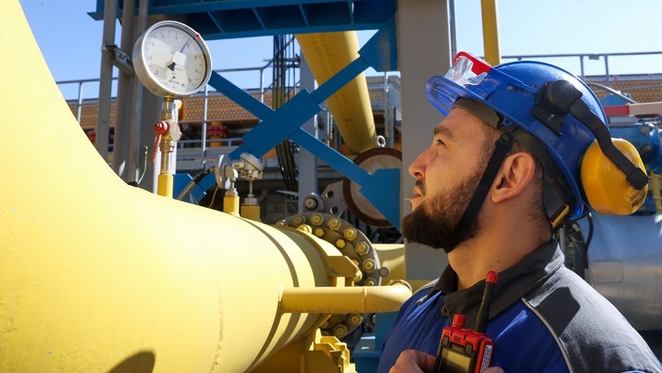    Автор фото: Кирилл Кухмарь/ТАСС