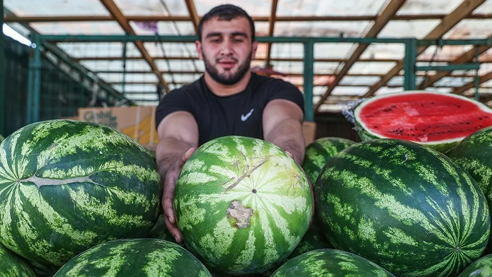 Фото с сайта https://78.ru/. Автор фото Bulkin Sergey.