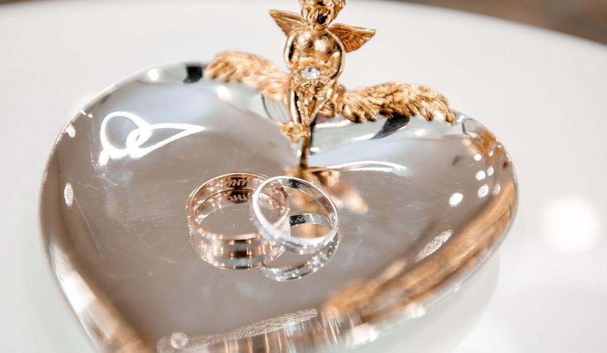     Кольца. Источник: mos.ru Автор фото: Пресс-служба Мэра и Правительства Москвы