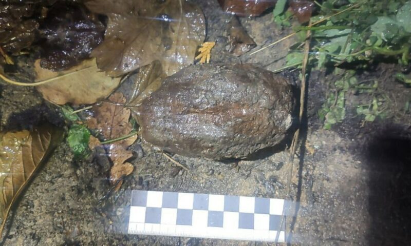    Фото t.me/rosgvard_krasnodar