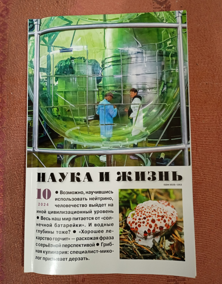 Фотография автора