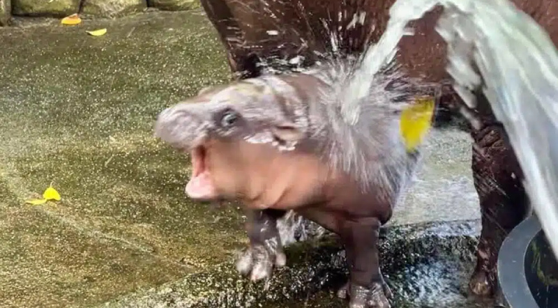    Му Денг / kz.kursiv.media