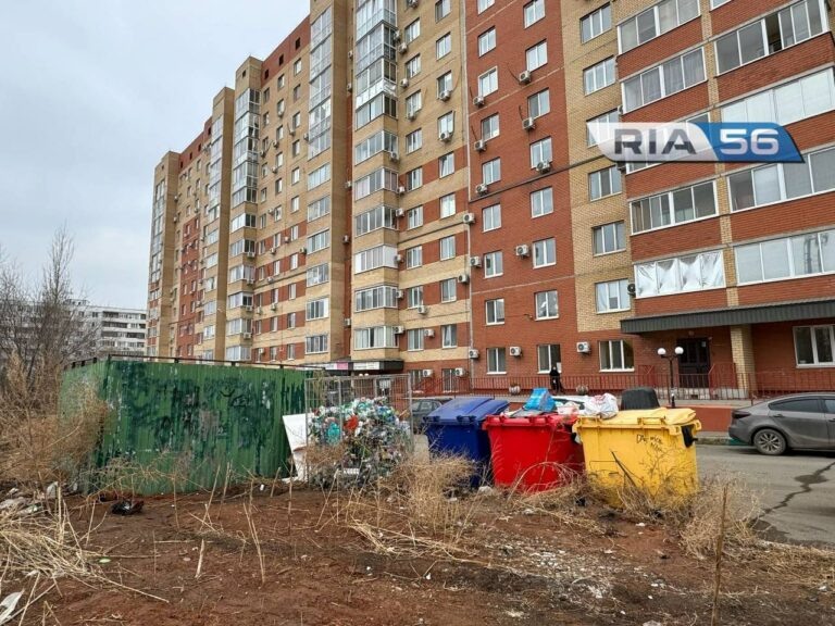    Крысы в городе. Как в Оренбурге борются с грызунами, атаковавшими мусорные площадки Андрей Севостьянов