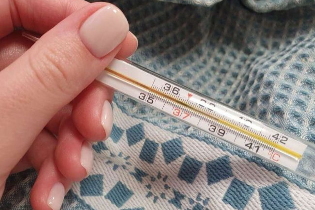 Фото: ИА Регион 71