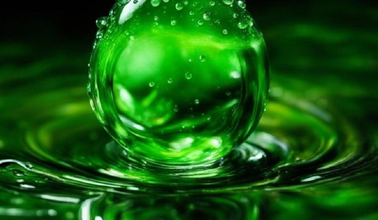    Биоудобрения и биостимуляторы: оба сегмента растут стремительно