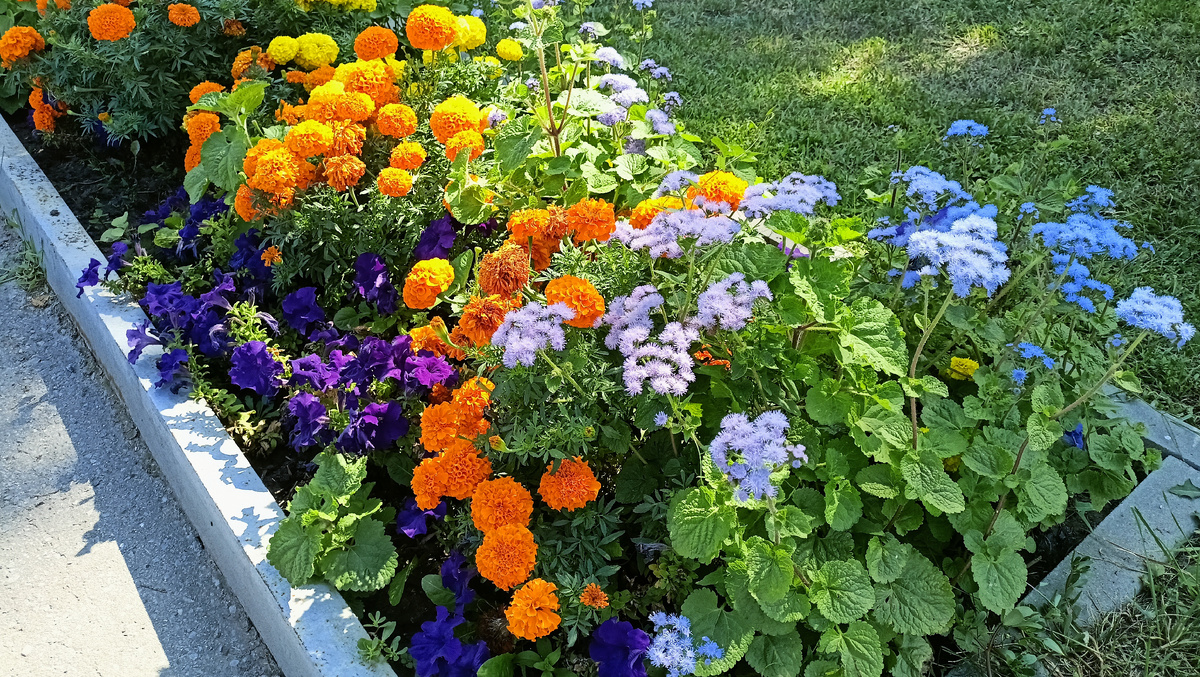 Личное фото автора 