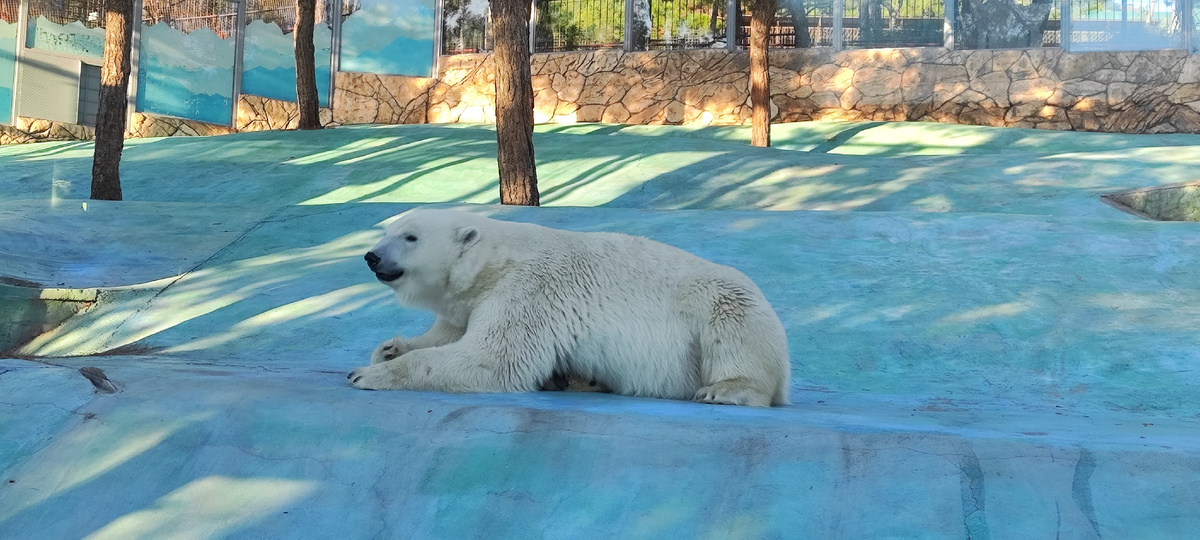 Много крупных диких животных