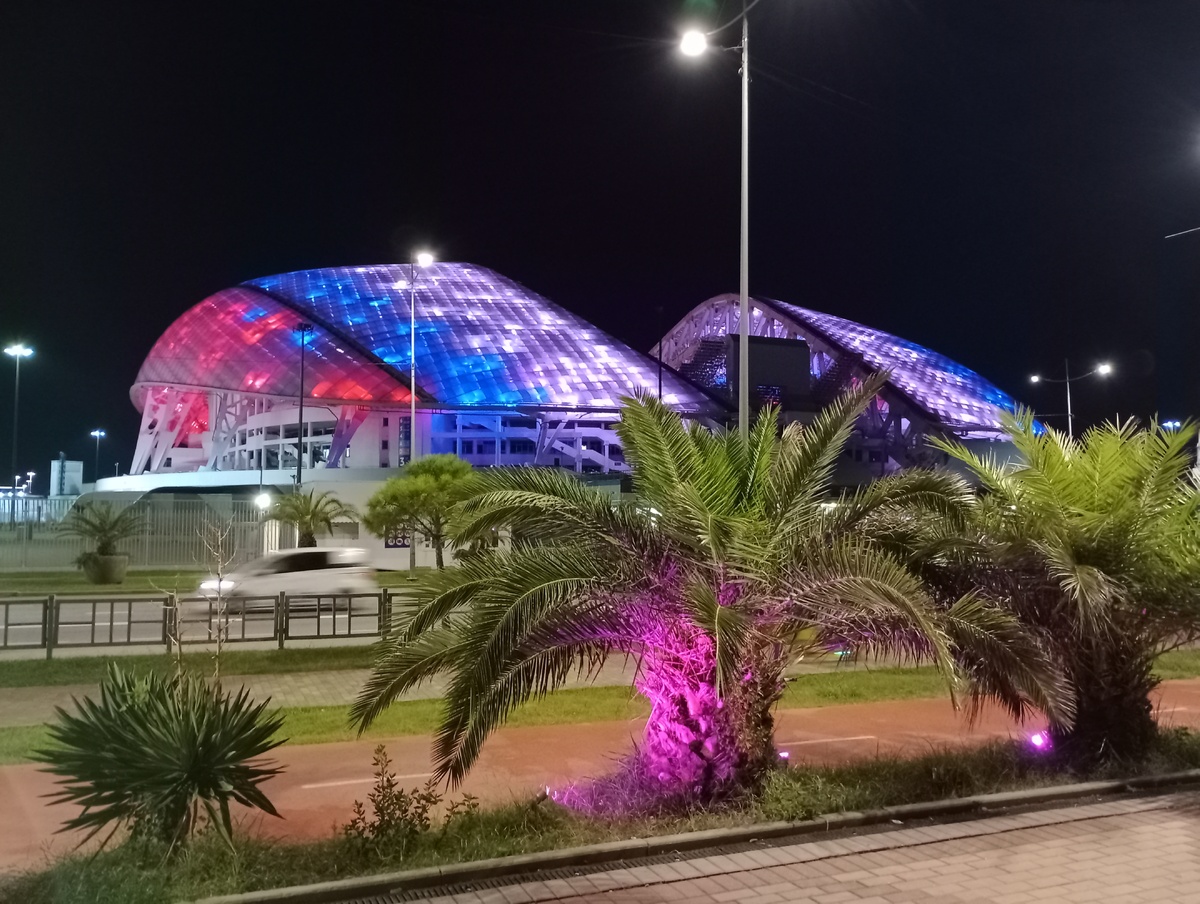 Фото автора, ноябрь 2024г.