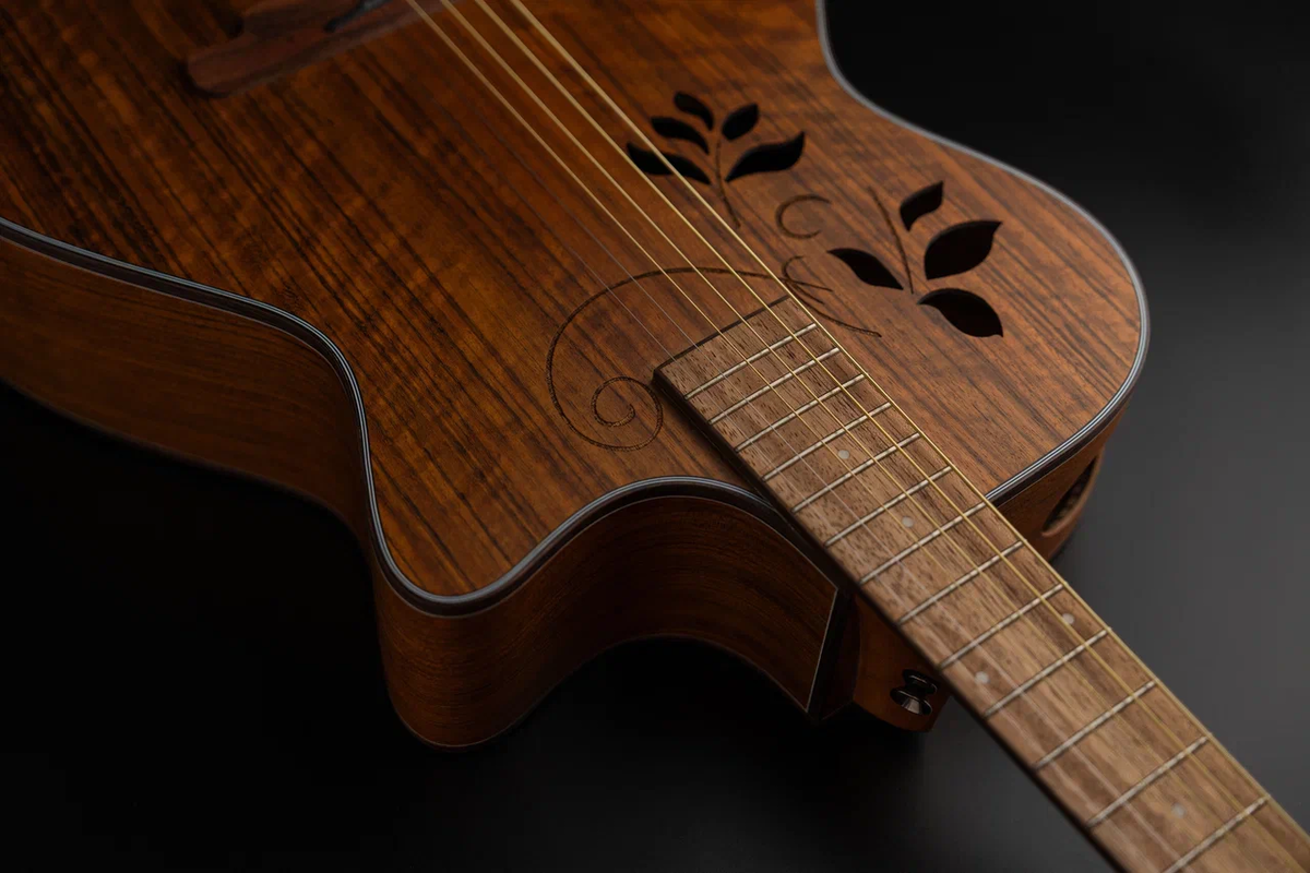 Акустическая гитара SQOE SQ-I 