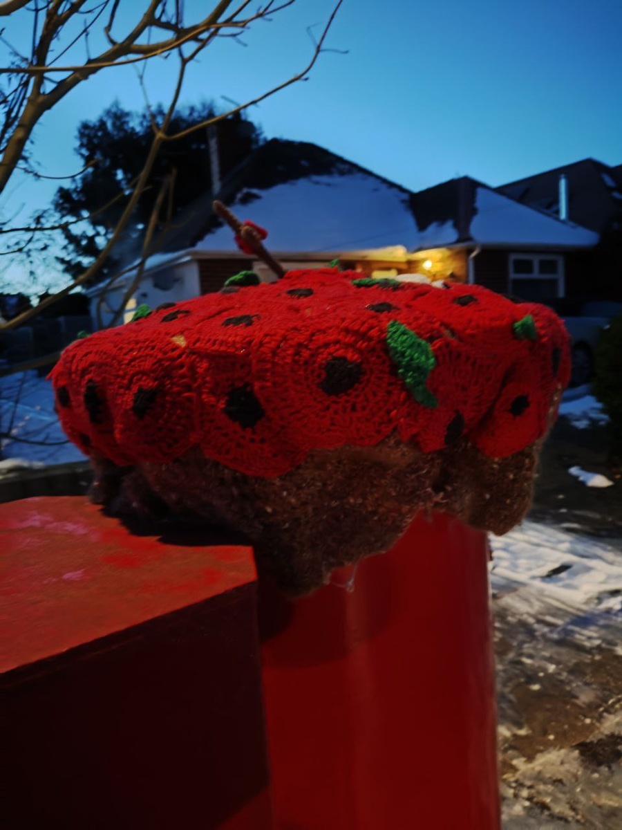 Вот такую шапочку кто-то связал для почтового ящика на соседней улице, муж снял фото сегодня после работы