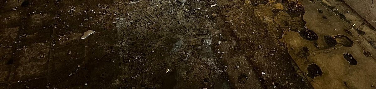    Фото: Анна Григор