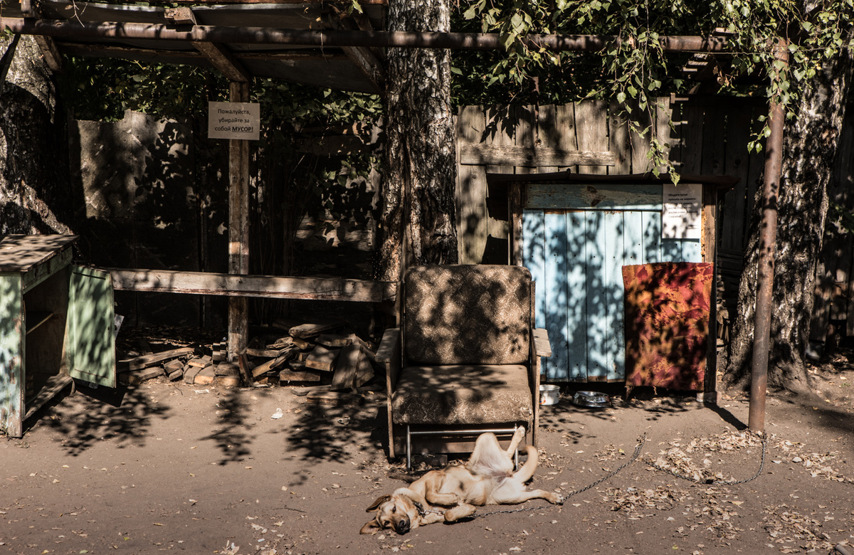 Дворы Сортировки. 2018 