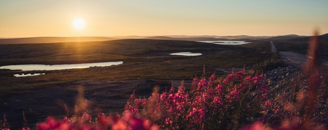  ©Anastasia Nelen/Unsplash