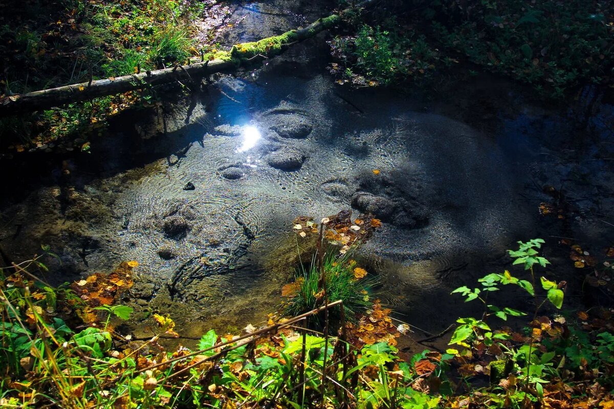 Родник картинка из интернета