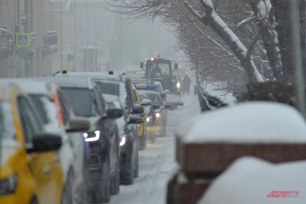    Синоптик Ильин: устойчивый снежный покров в Москве образуется 25 ноября