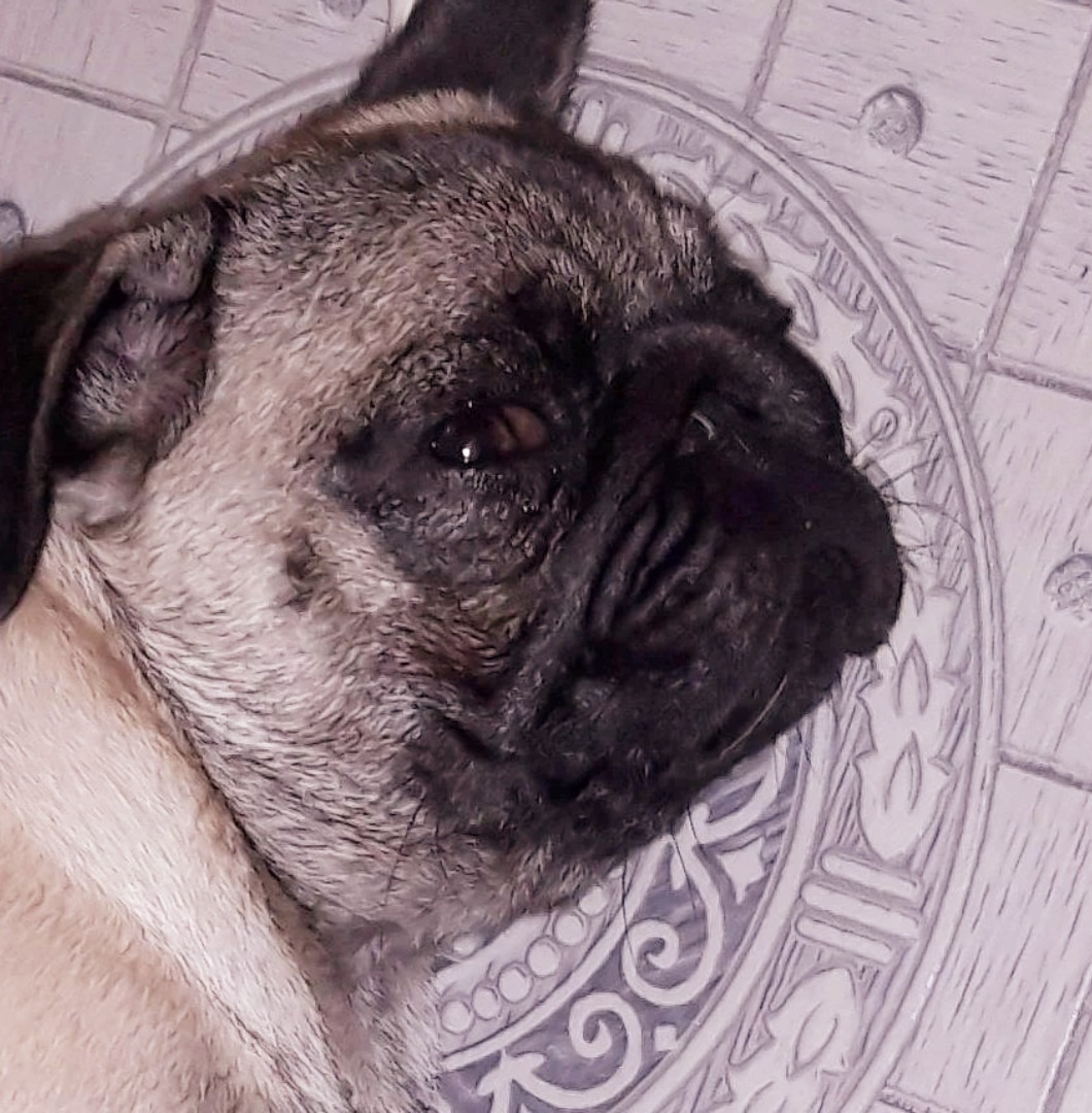 Сон с открытыми глазами