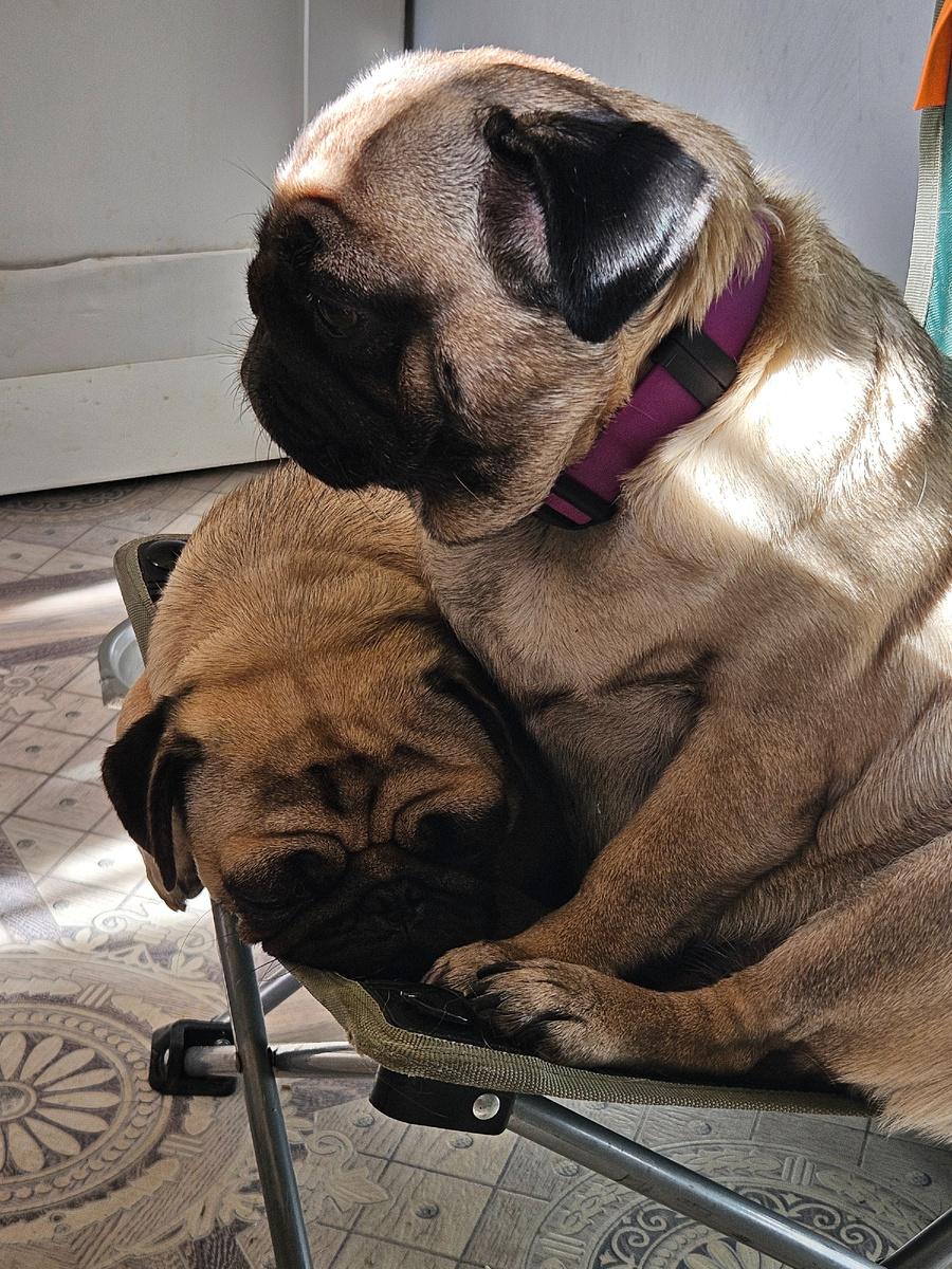 Почему снятся ужасы