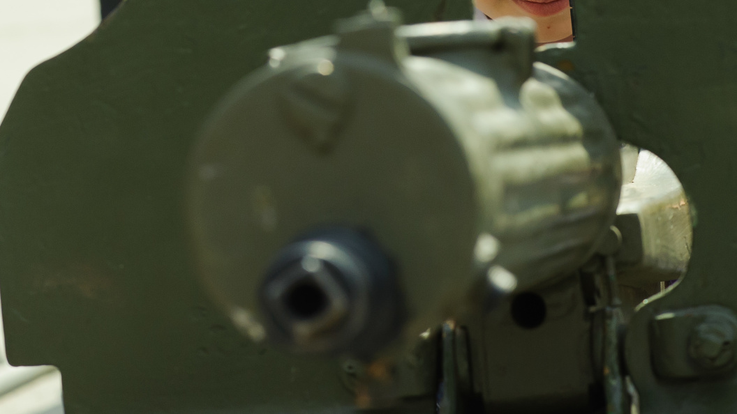    Dmitry Chasovitin/Global Look Press