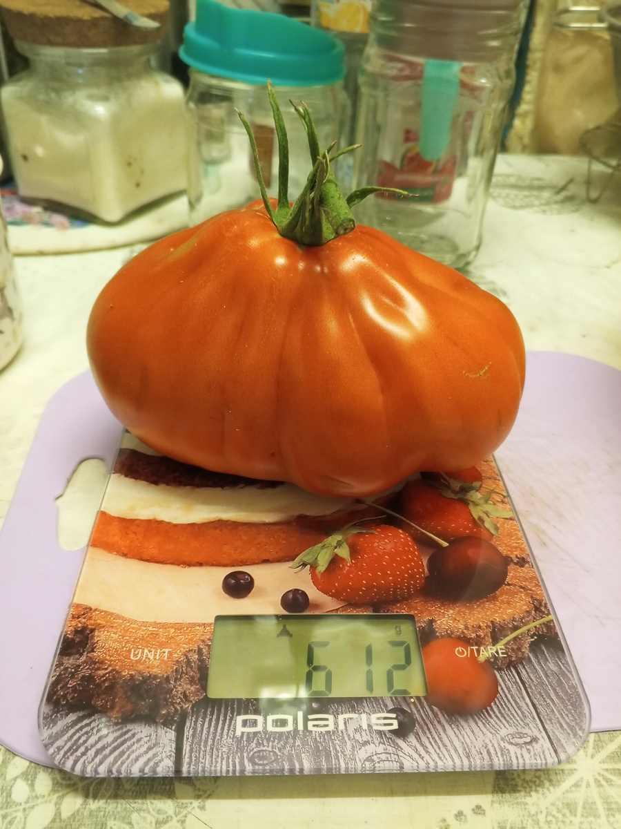 Крупноплодный, сочный, томатный вкус, урожайный.