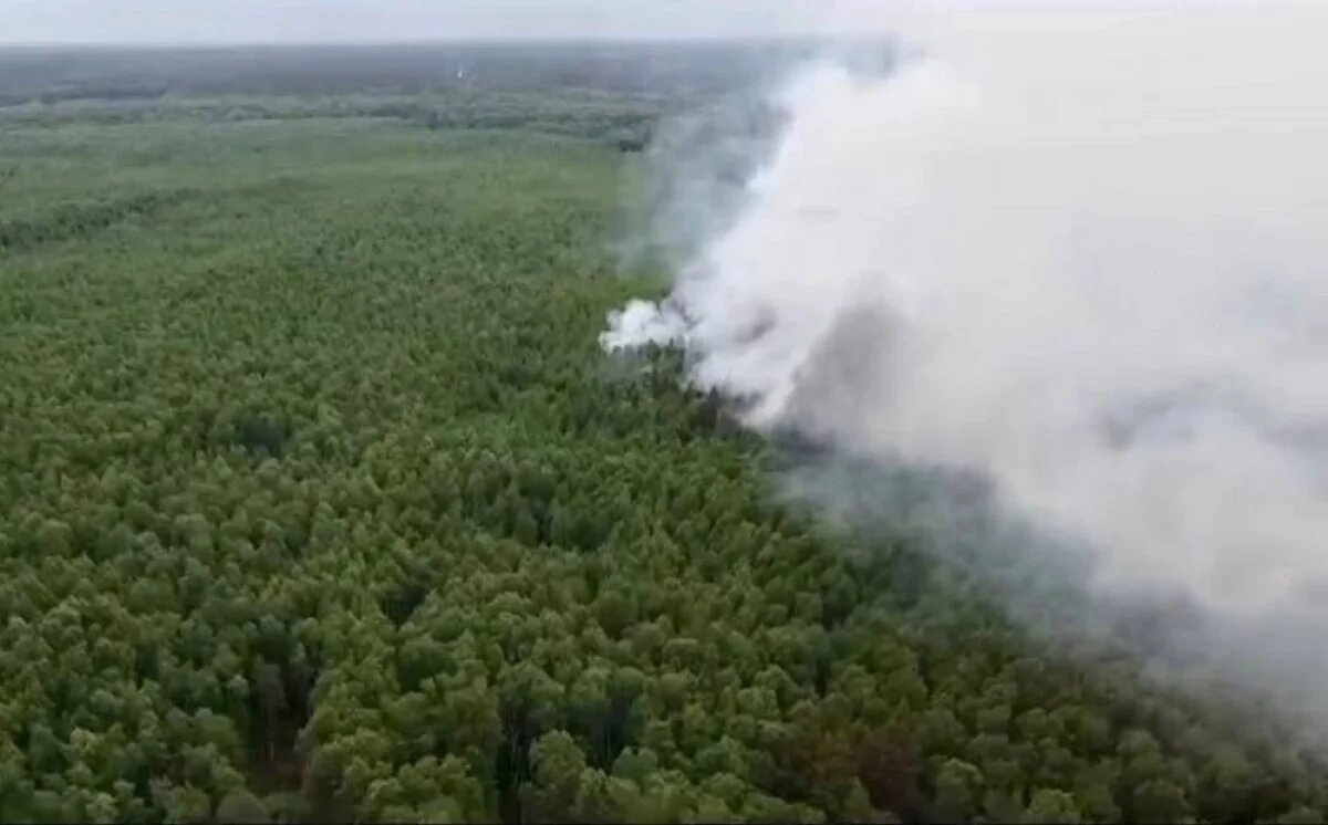    Учёные РФ разработали систему профилактики торфяных пожаров