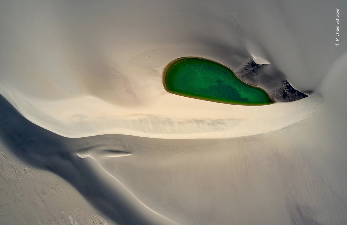 Для примера приведены фотографии с конкурса Wildlife photographer of the year