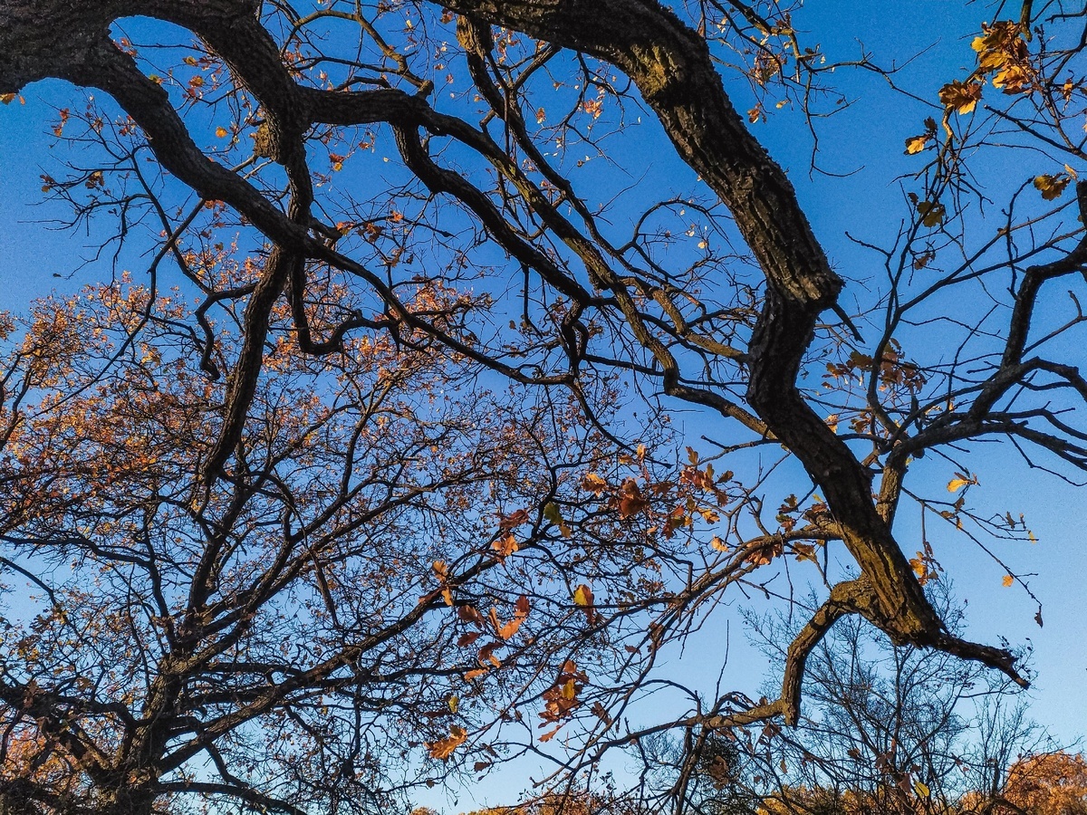 Фото: Daria Grigorenko