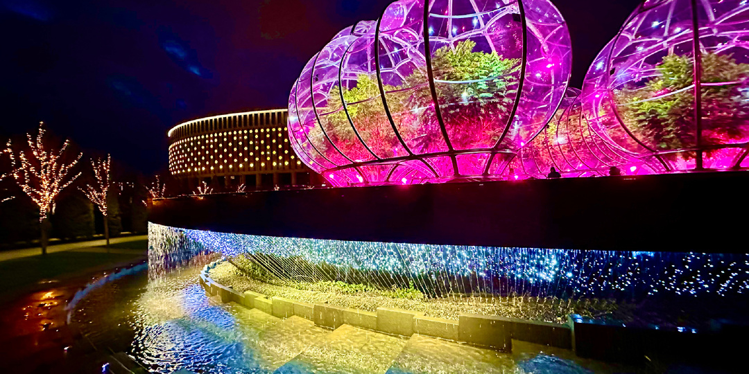 Декабрьский парк Галицкого: Красная в этом году столь популярна, что даже в Японский сад исчезли очереди