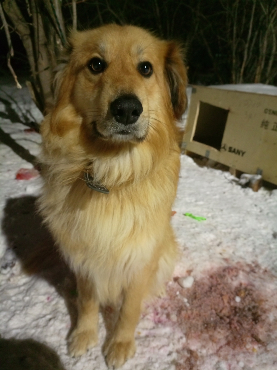 Личное фото