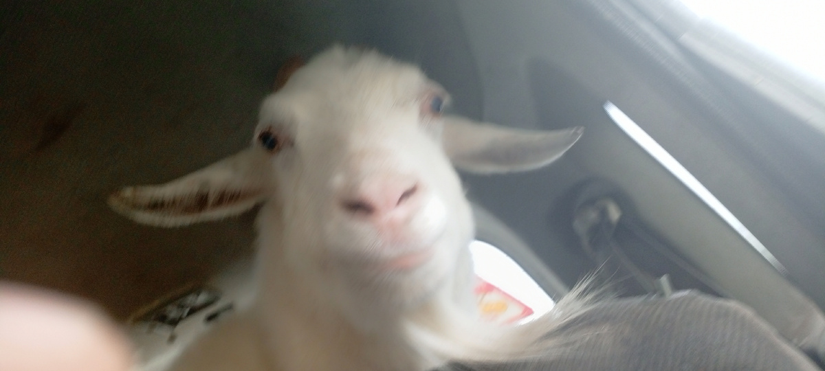 Личное фото