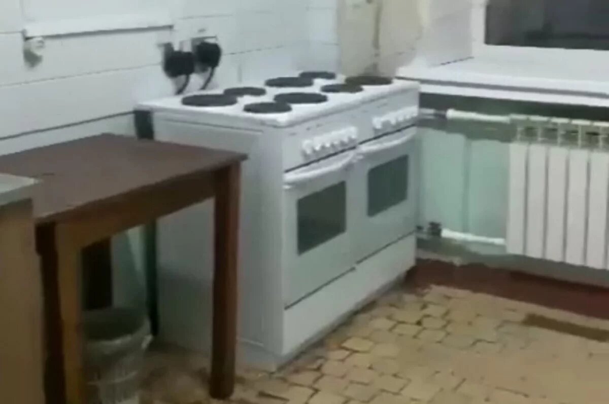    На полчища тараканов жалуются студенты общежития Новосибирска