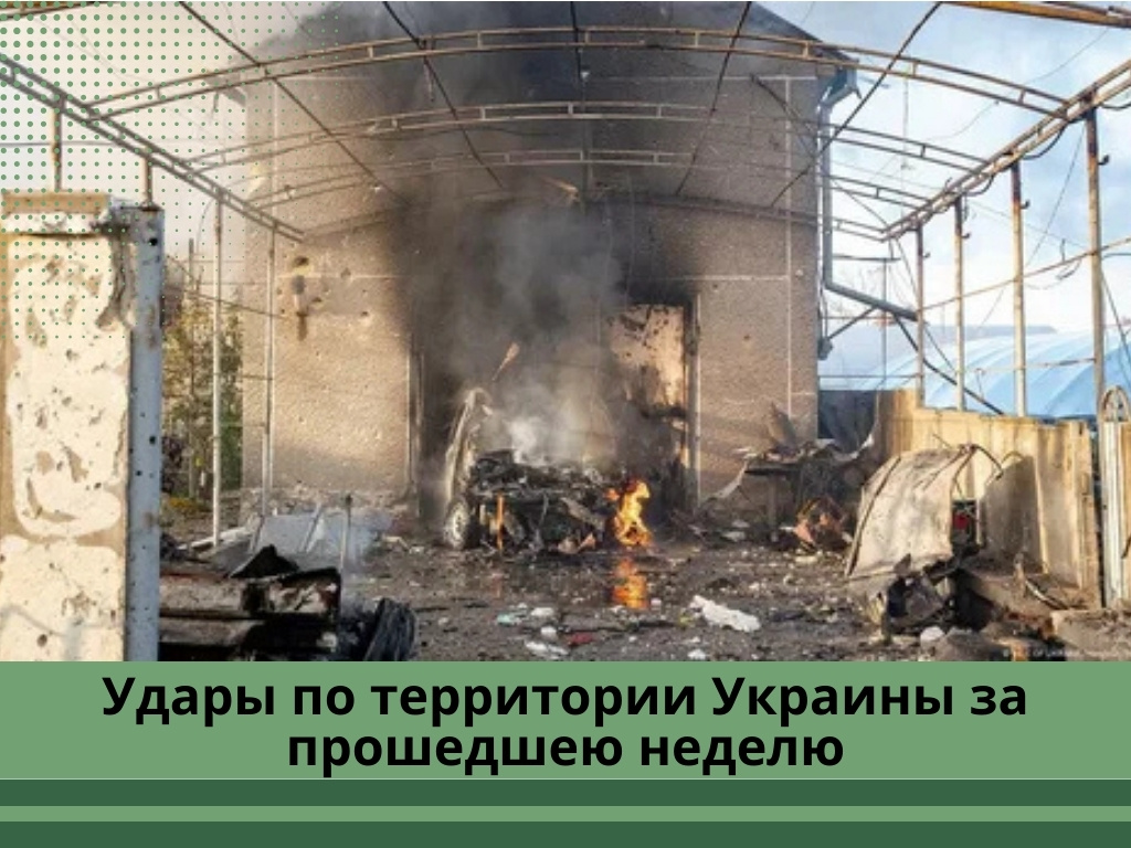 Фото: yandex.net