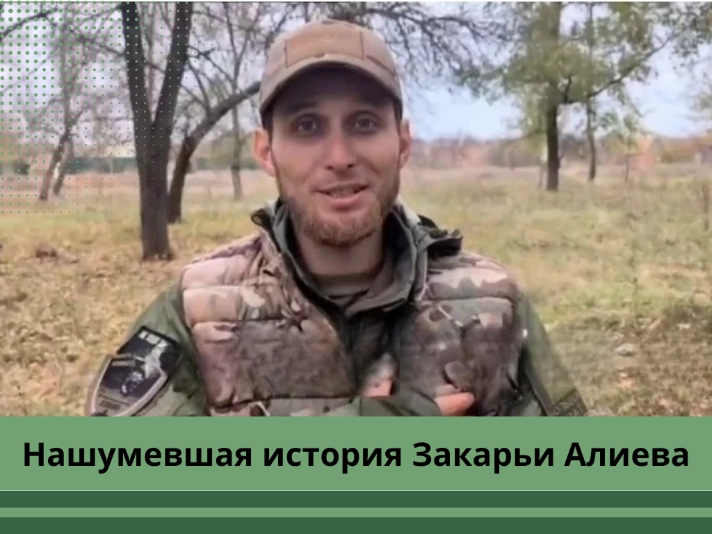 Фото: dzeninfra.ru