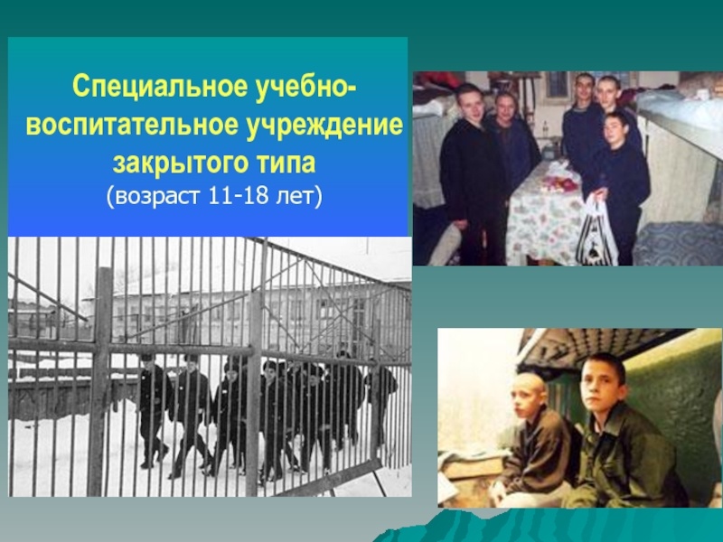 Фото из сетей интернета