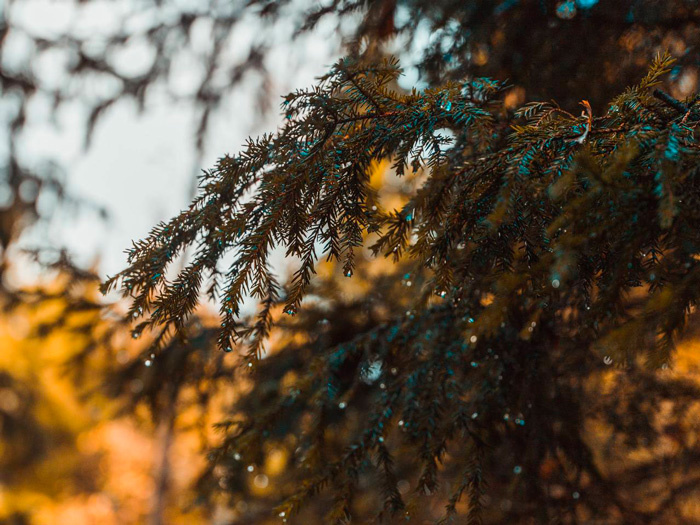 
Фото «Freepik»