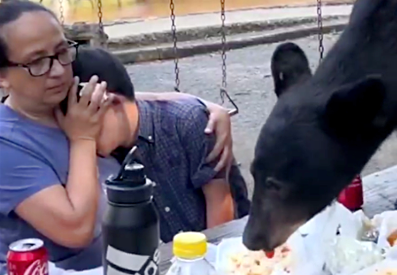 Здесь и далее представлены фото с места событий.