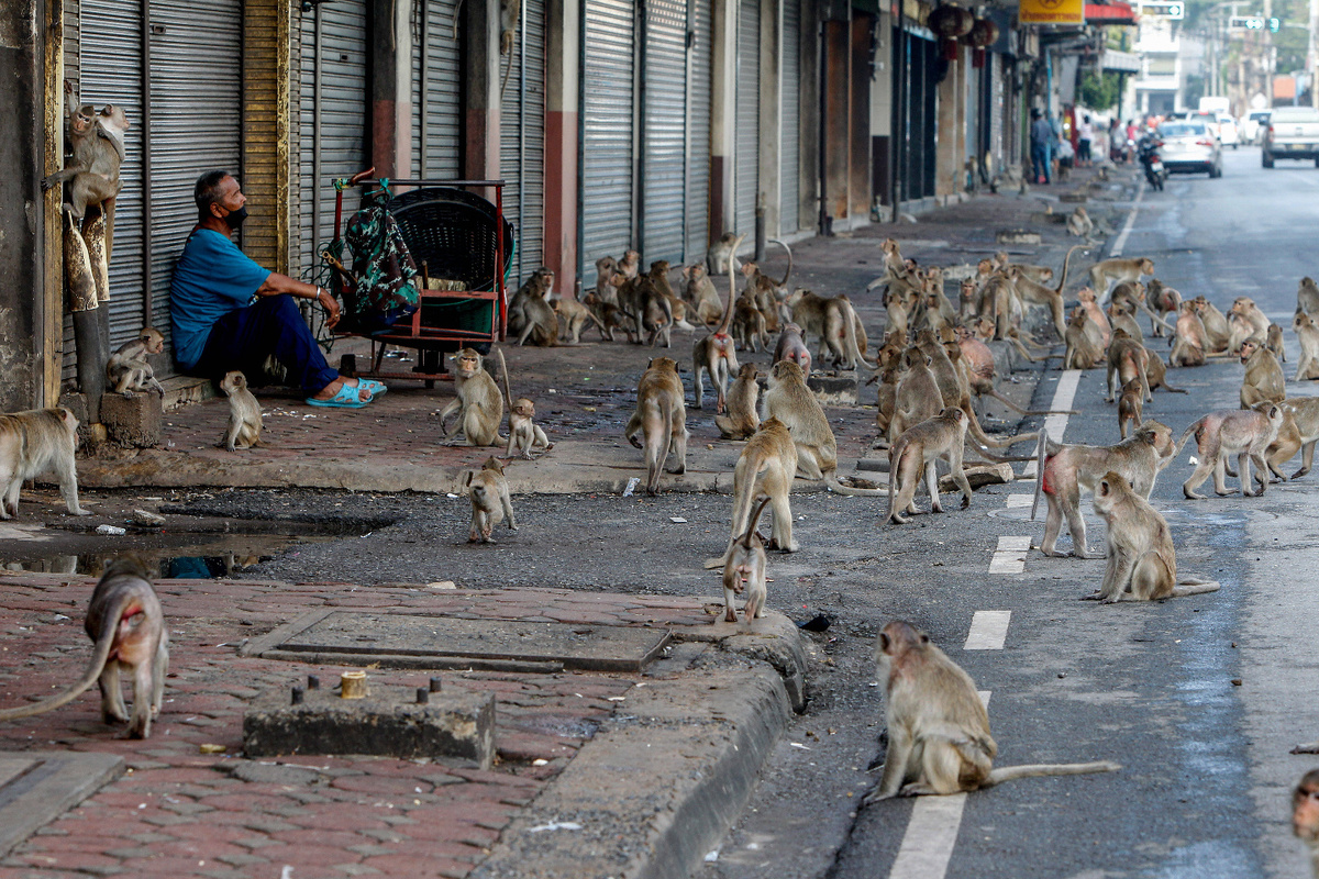     Фото: SOPA Images/SIPA/SIPA/East News