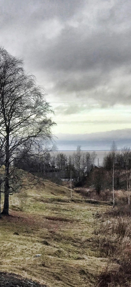 Мой ноябрь... две недели до Зимы. Такой тихий порожек, вход в разгульный декабрь.)