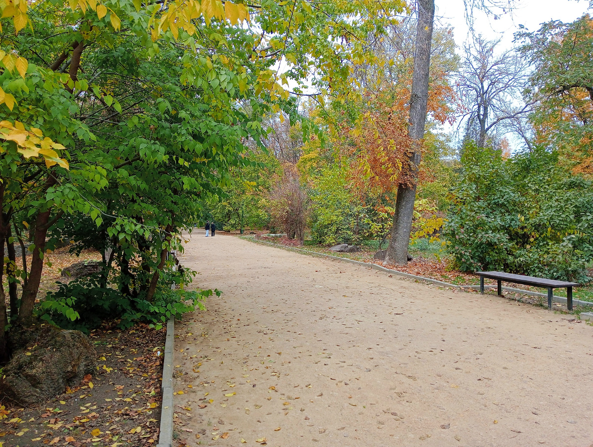 Фото автора.