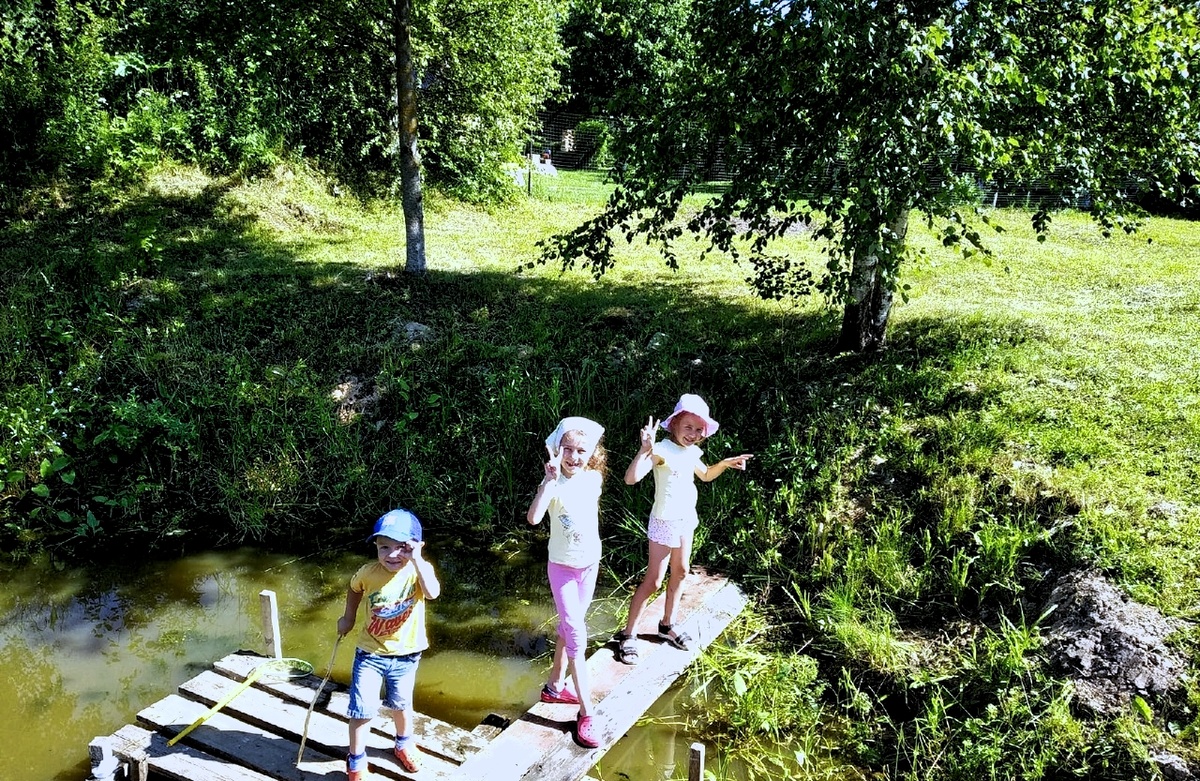 У "деревенского деда" берёзки посажены только по периметру пруда. Фото из личного архива автора.