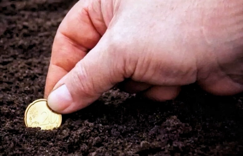 Золотая монетка на "поле чудес" принесёт вам знатный урожай. Фото из открытых источников.