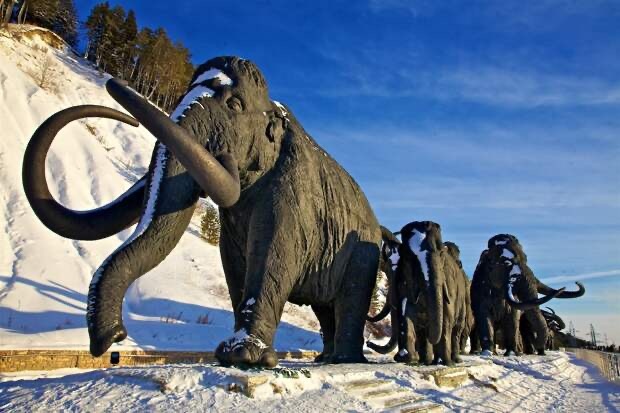 Мамонт был почти в 2 раза крупнее слона