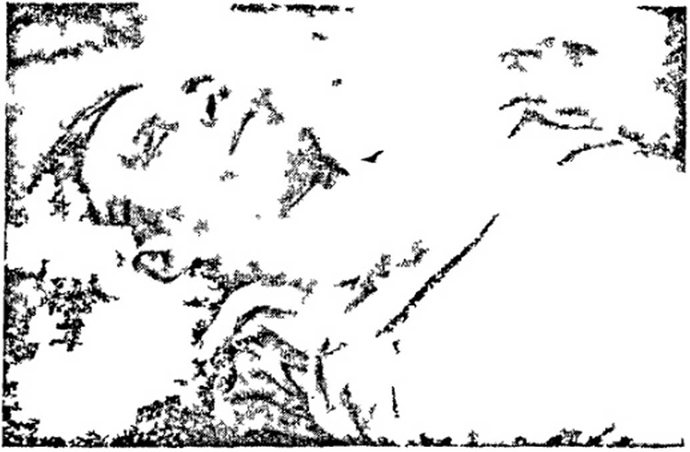 Рис. 7-10. Поражение через уязвимые точки на голове (изображения лучшего качества пока нет)