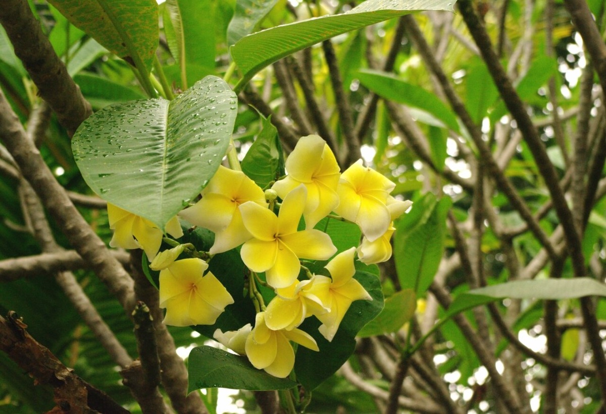 Источник Яндекс-Дзен