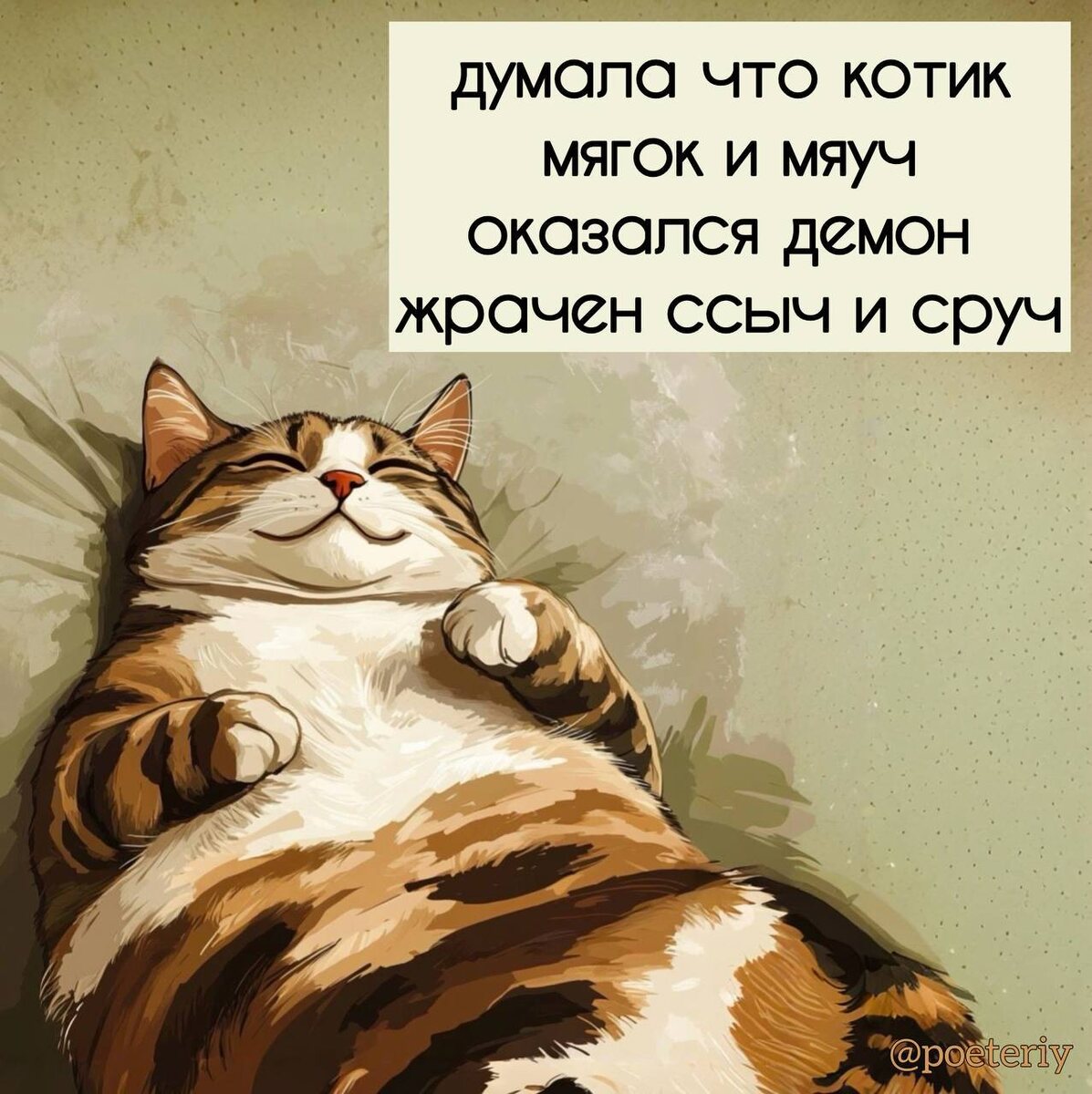 Наш старшенький хорошо описан 🐱