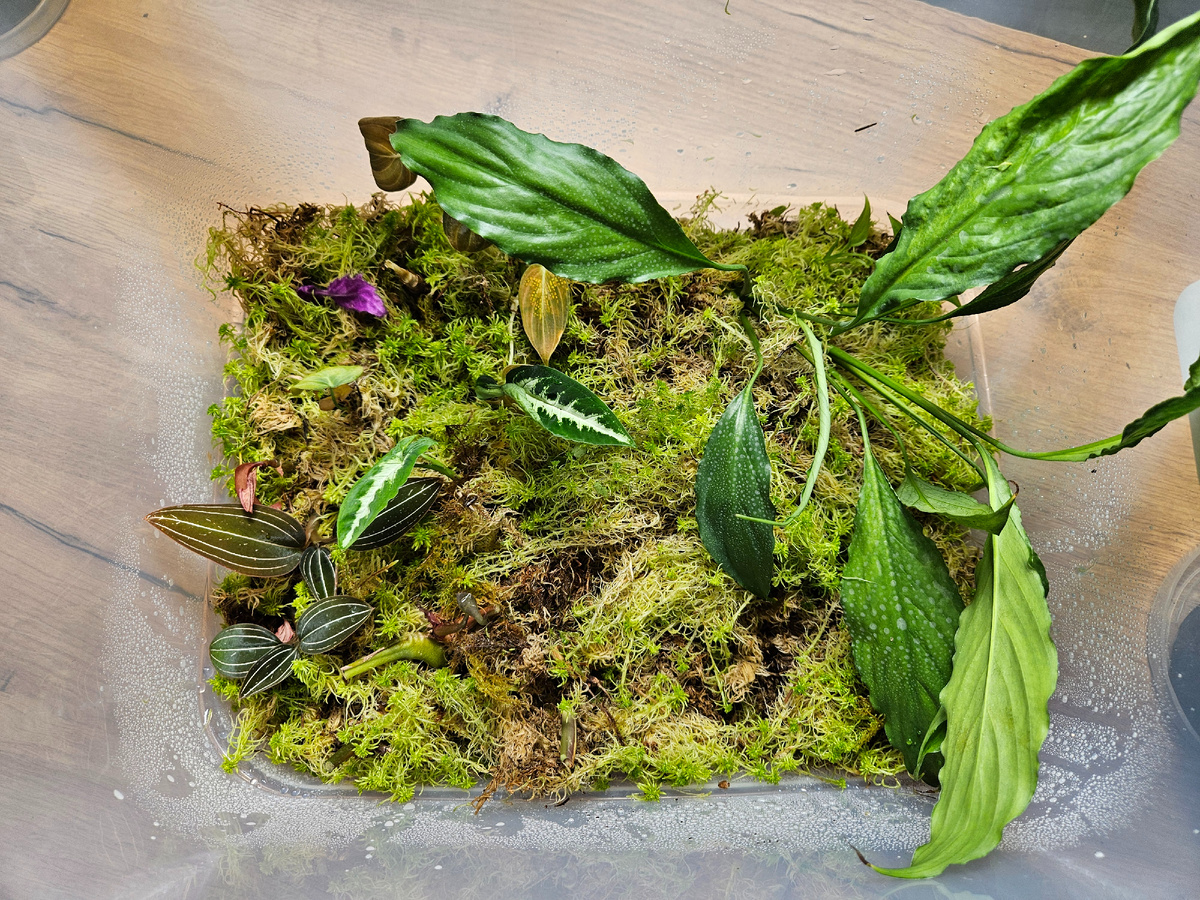 Так было вначале