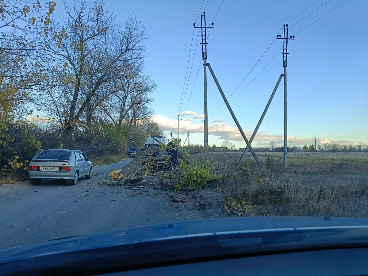 Депутатский запрос. Фото: страница Вячеслава Гладкова в соцсети