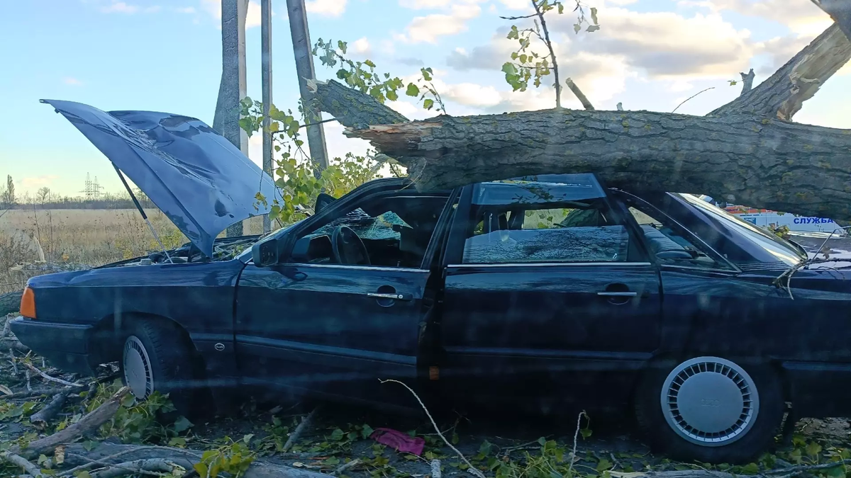 Фото: страница Вячеслава Гладкова в соцсети. Прибитая деревом машина