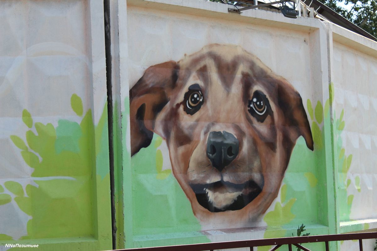 Бурнаковский проезд